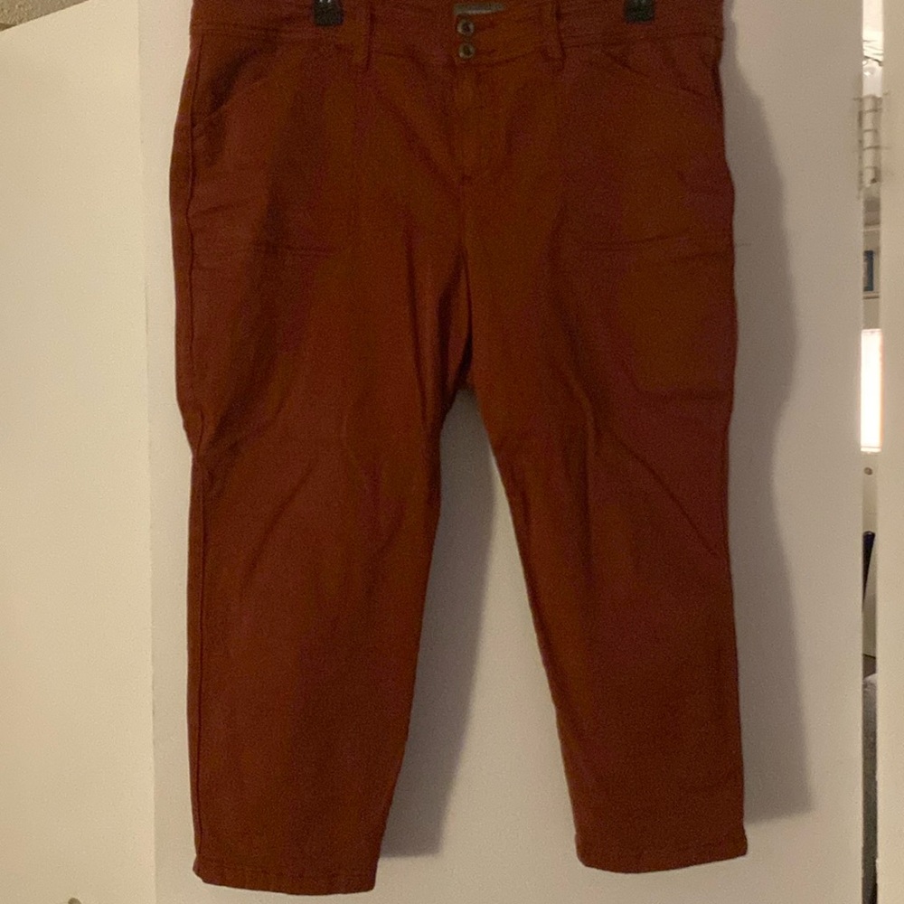 Size 22 Torrid Pants